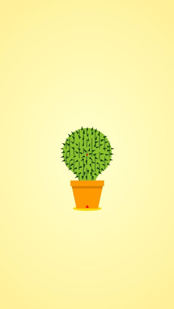 lucky-cactus-1-2326643